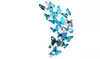 12 Pcs 3D Butterfly Art Decal Home Decor PVC Butterflies Wall Sticker