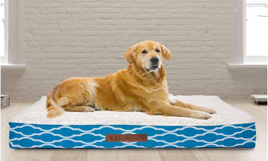 Wags and Whiskers Orthopedic Pet and Dog Bed | Groupon