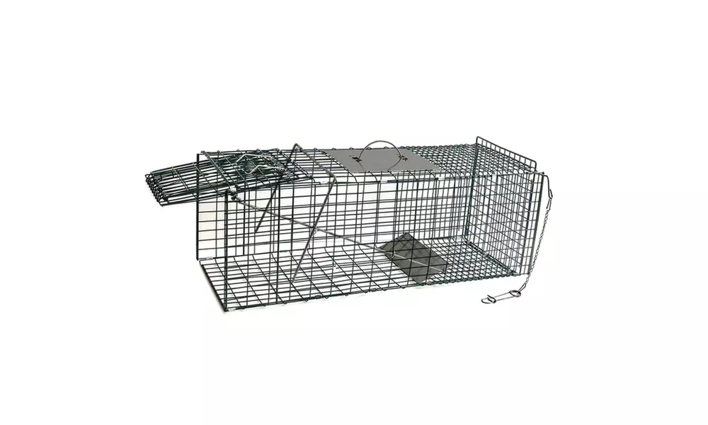 Live Animal Trap Steel Outdoor Professional Grade (Small or Medium) - Primary Image
