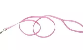Animal Supply Company CO03063 Nylon Training Lead 0.38 in. x 6 ft. - Bright Pink - Second Medium