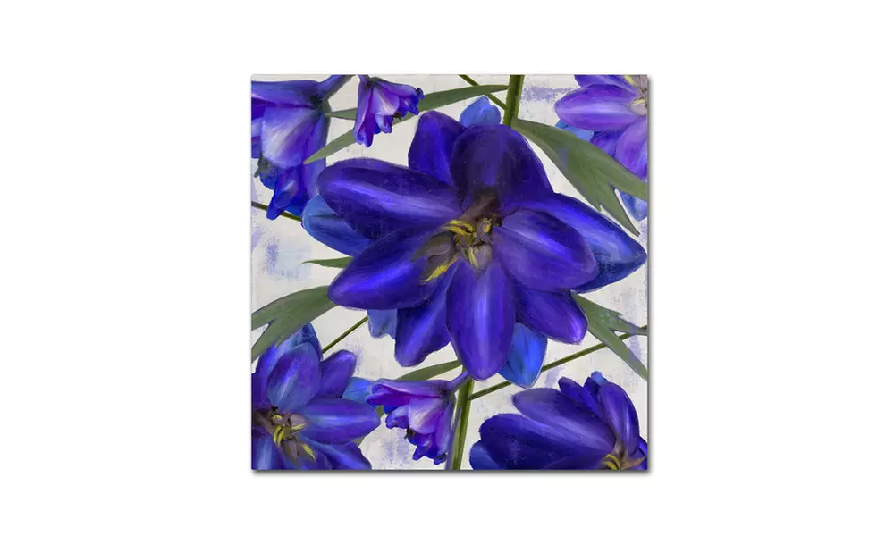 Color Bakery 'Delphine I' Canvas Art - Primary Image