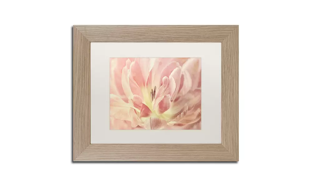 Cora Niele 'Vintage Tulip' Matted Birch Framed Art - Primary Image