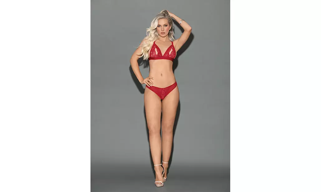 Euphoria Peek a Boo Top and Crotchless Panty Red O/S - Primary Image