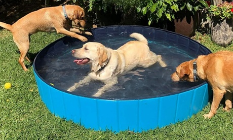 IMounTEK Foldable Pet Dog Pool & Bathing Tub Wading Pool For Puppies & Dogs 4 Red