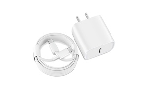 20W Fast Charging Block W/ Dual Type C Cable for Apple iPhone 15 & Up