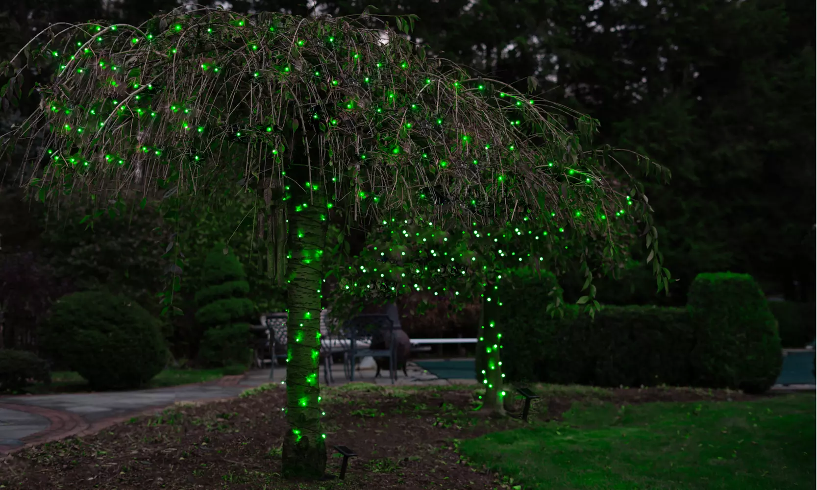 125LED Solar Powered String Lights. Multiple Colors & Quantities Available. 