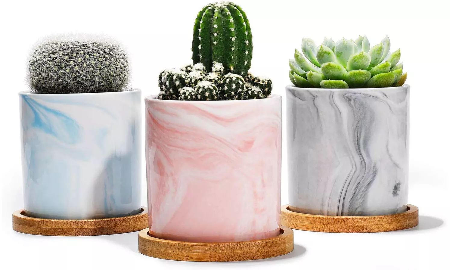 Potey Succulent Plant Pots Terrazzo Planter  - Primary Image