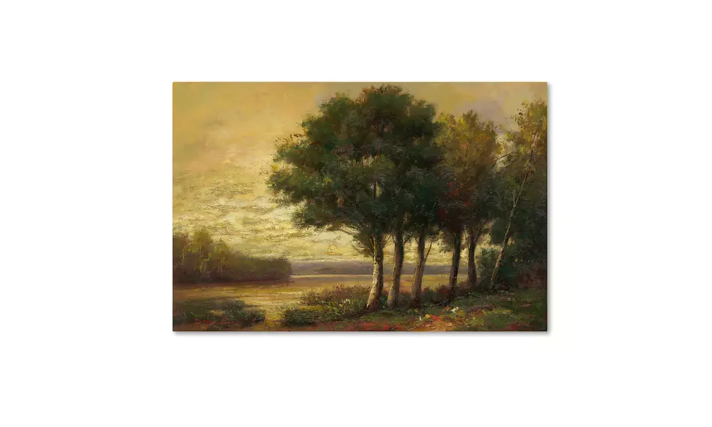 Daniel Moises 'Tranquility' Canvas Art - Second Medium