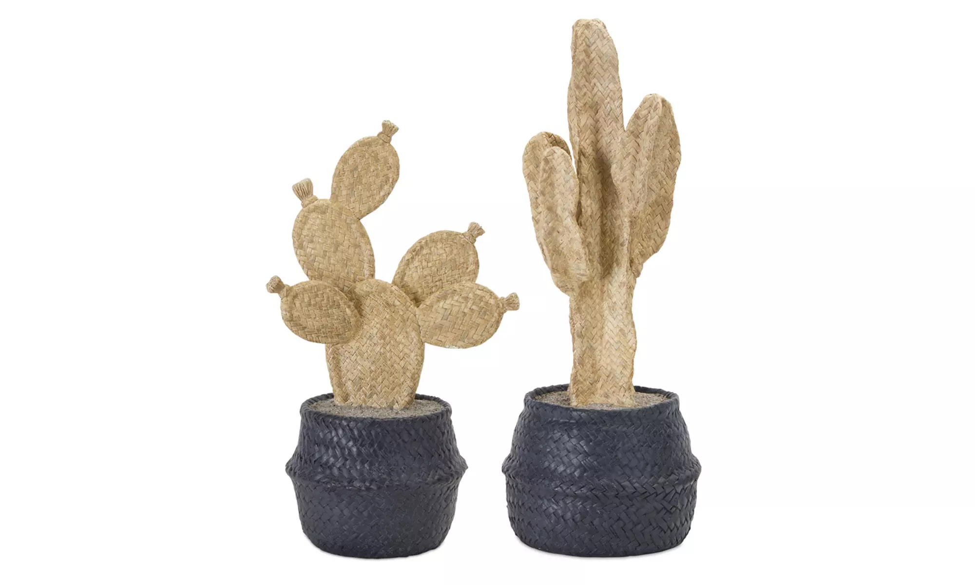 Cactus Pots (Set of 2) 13"H, 16"H Resin - Primary Image