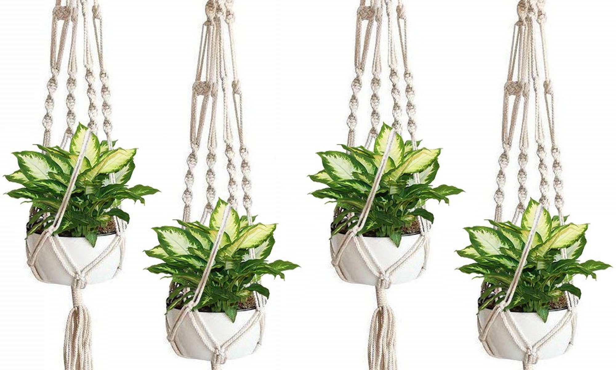 4-Pk Macrame Plant Hanger - Elegant Bohemian Design for Home, Patio, Garden - Primary Image