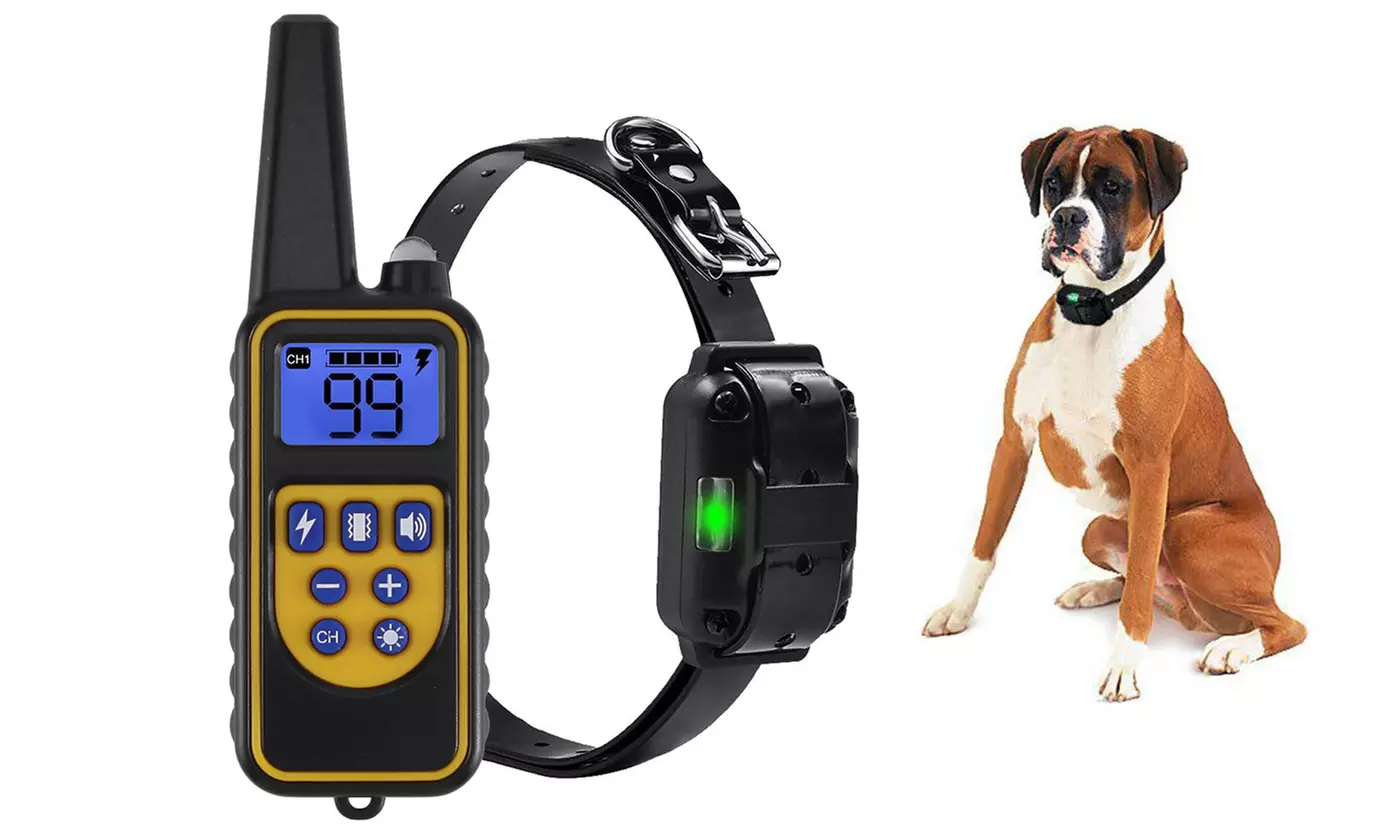 Dog Shock Training Collar Rechargeable Remote Control Waterproof  - Primary Image