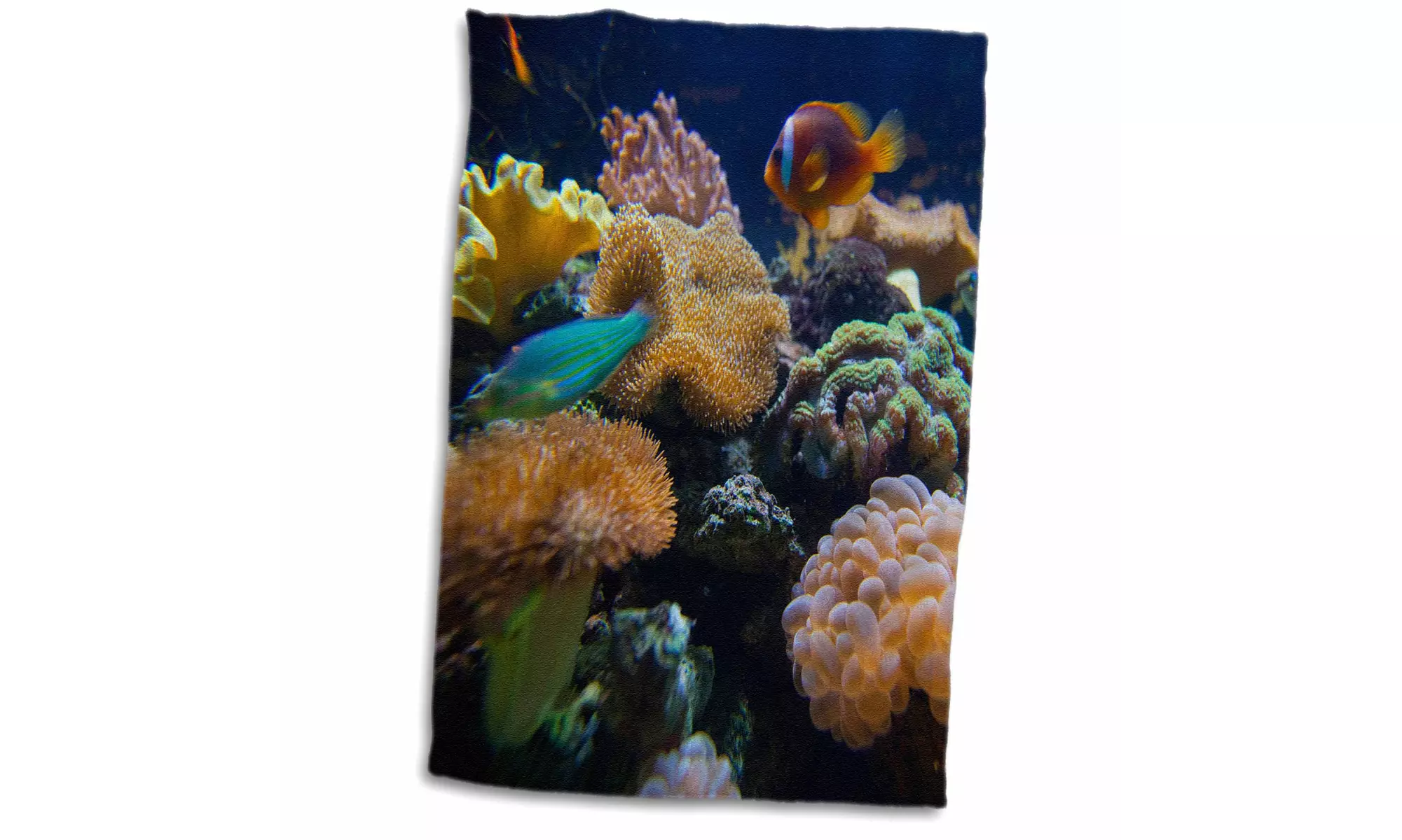  Towel - Salt Water Aquarium, Vitu Levu, Fiji - OC01 DPB0398 - Douglas Peebles  - Primary Image