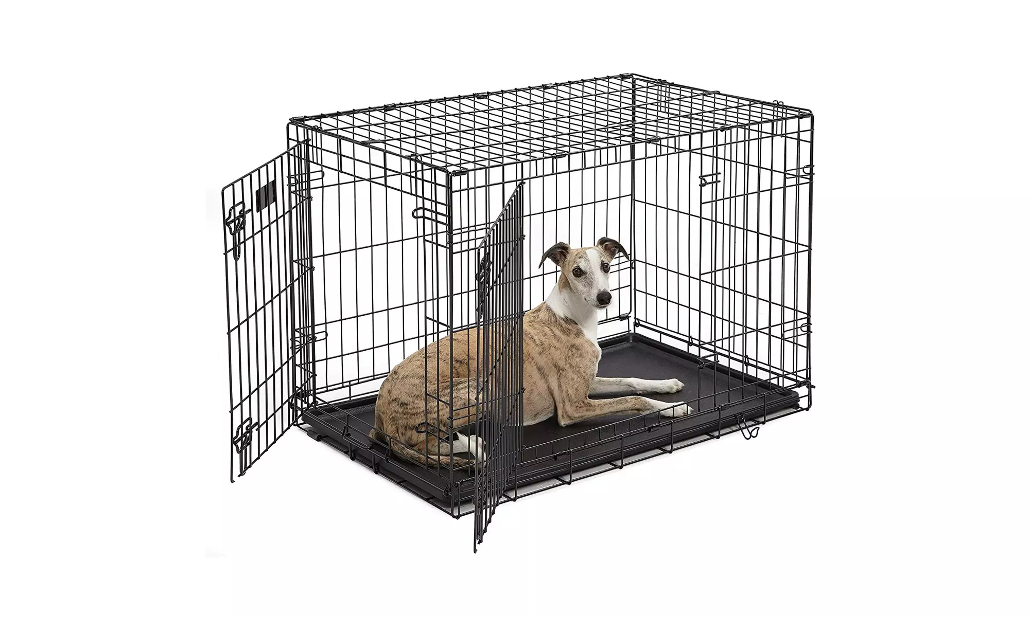 MidWest Homes for Pets Dog Crate  - Primary Image