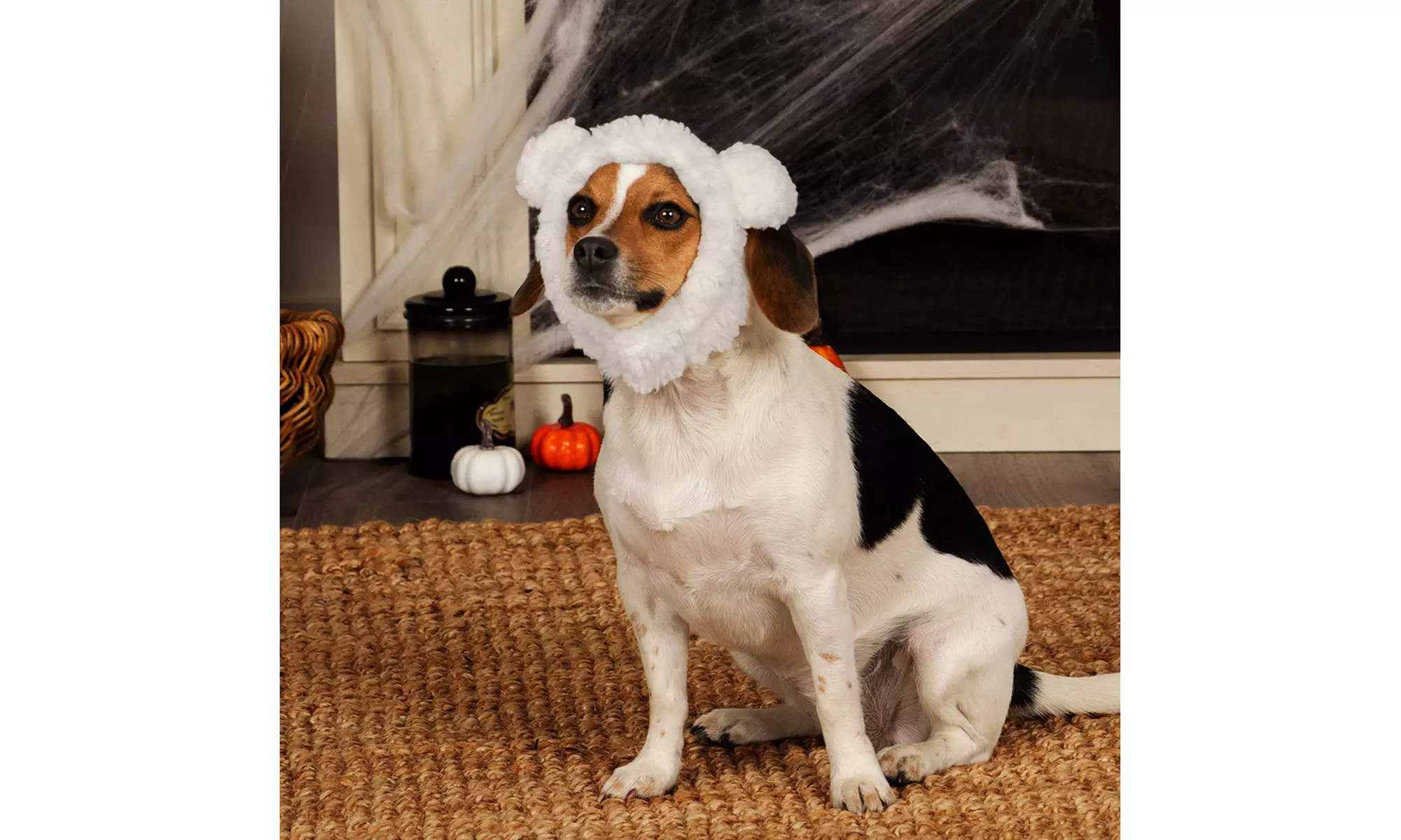 FurHaven Halloween Costume Flex-Fit Pet Costume Hat (Bat, Monster, Polar Bear)