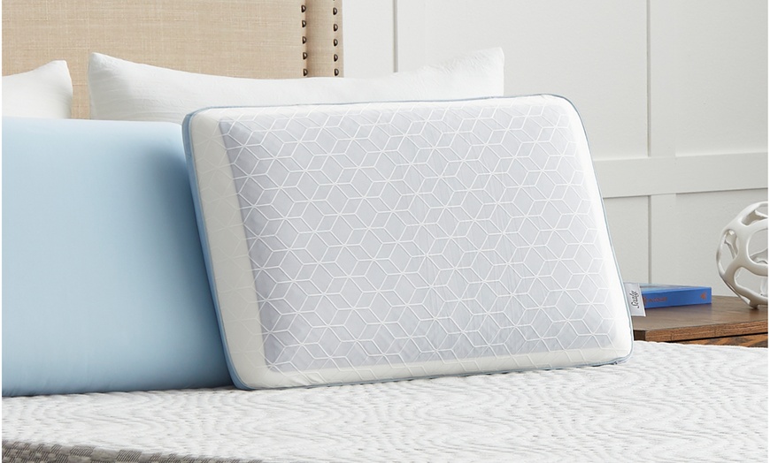 sealy duochill memory foam pillow