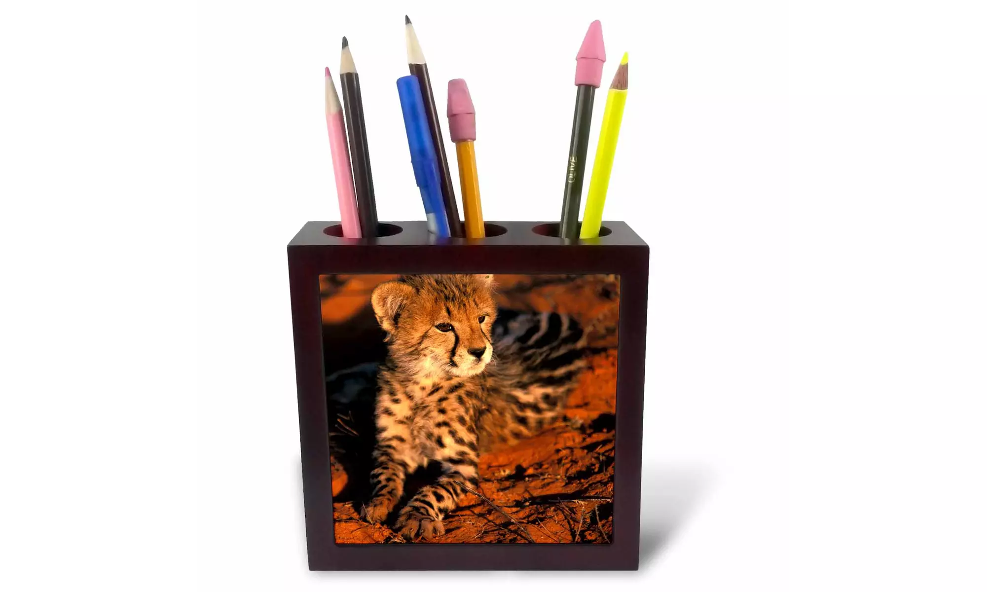 Tile Pen Holder - South Africa, Kalahari Desert. King Cheetah-AF42 GJE0050 - Second Medium