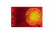 PIPA Fine Art 'Nature's Beauty' Canvas Art - Second Medium