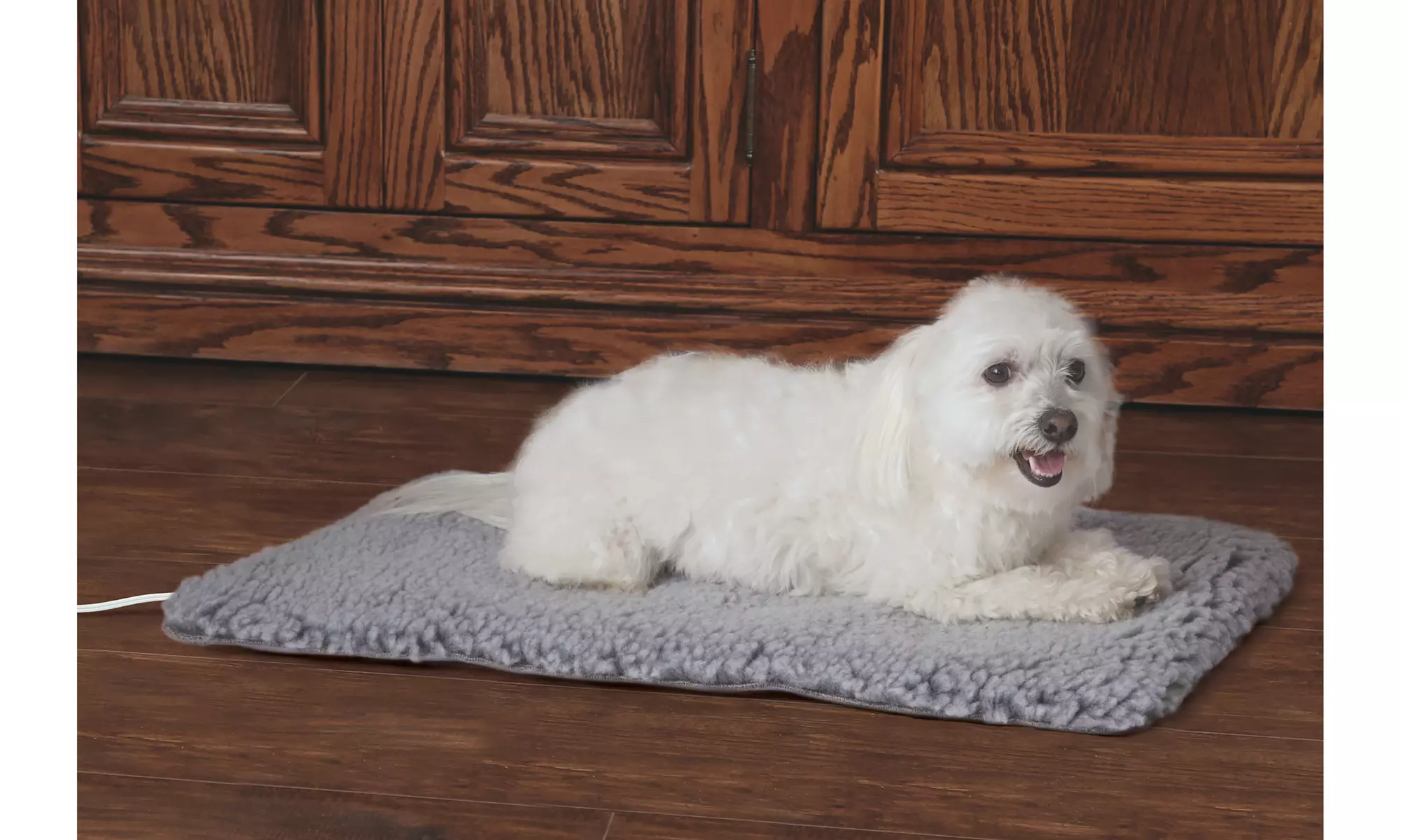 Thermo Plush Pad Indoor Heated Pet Bed - Primary Image