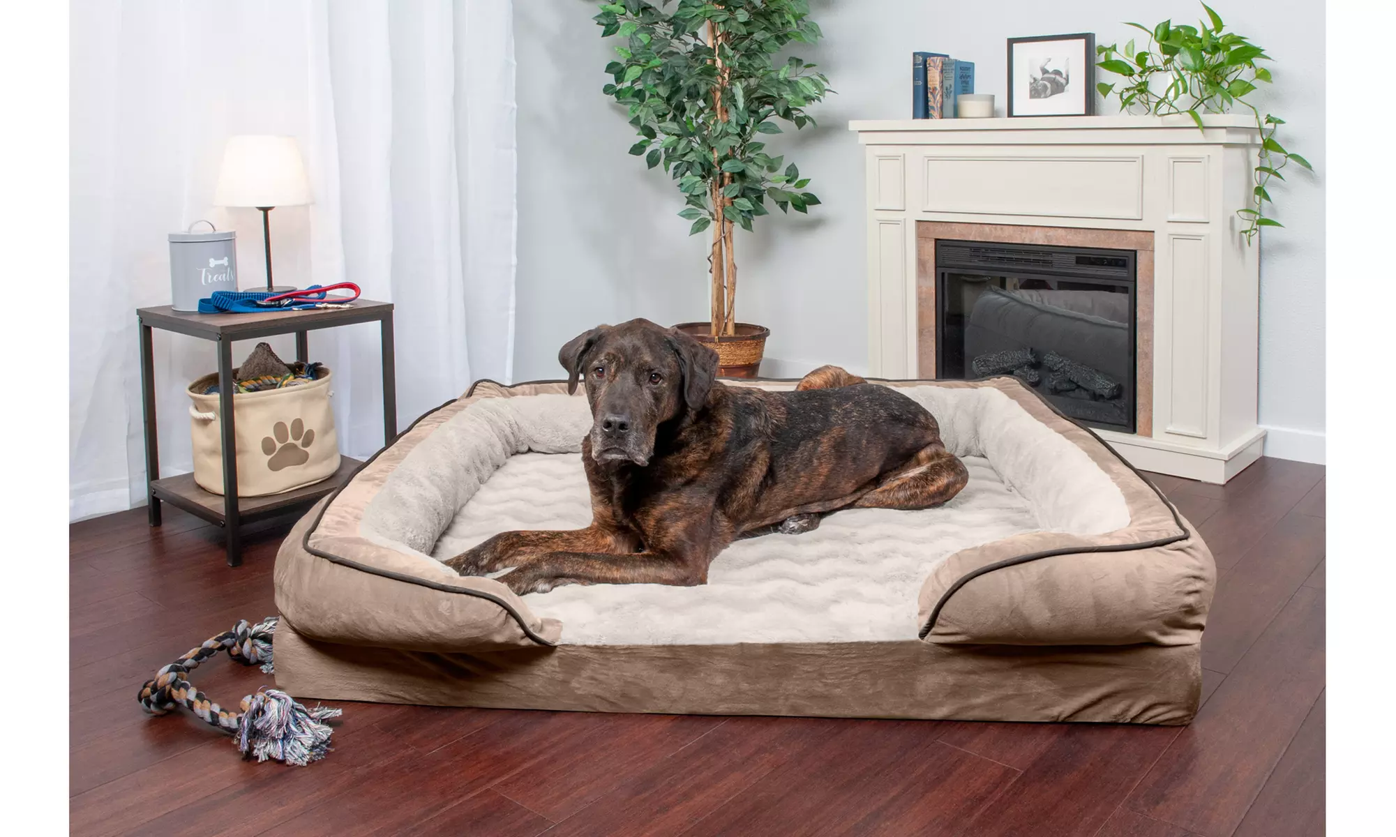 FurHaven Pet Velvet Waves Perfect Comfort Orthopedic Dog Sofa Bed - Primary Image