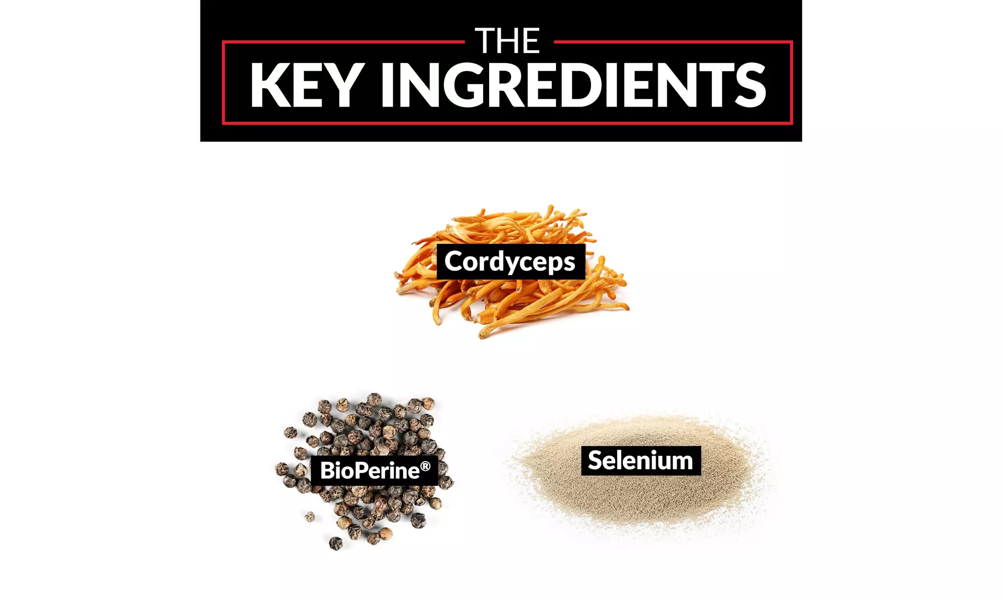 Force Factor Cordyceps Mushroom Extract 1000 MG