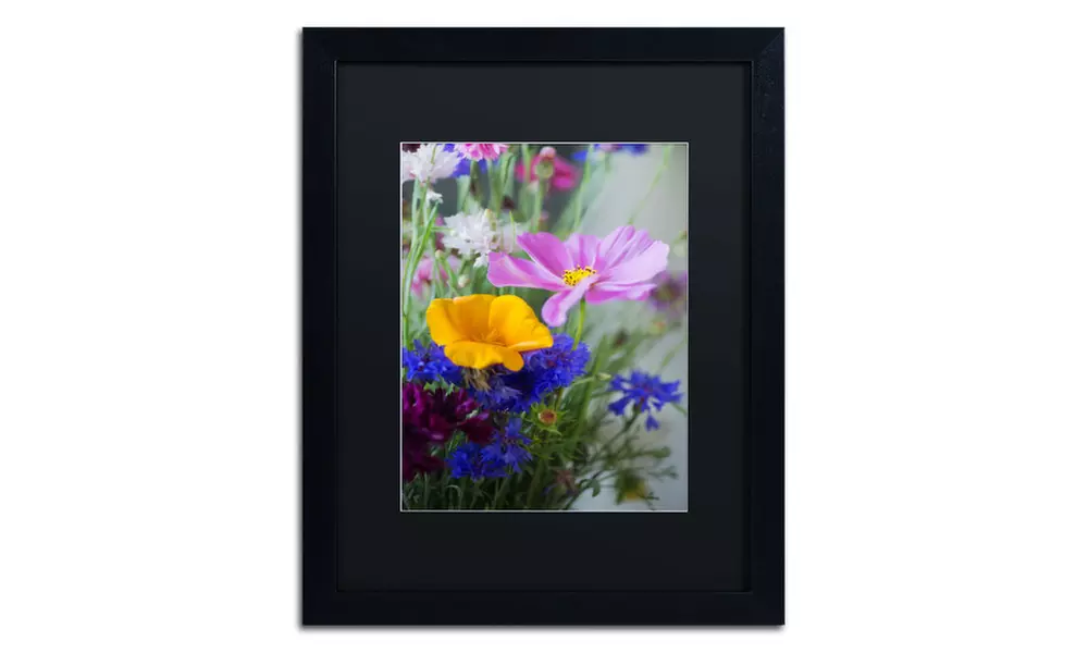 Philippe Sainte-Laudy 'Cosmo Duo' Matted Black Framed Art - Second Medium
