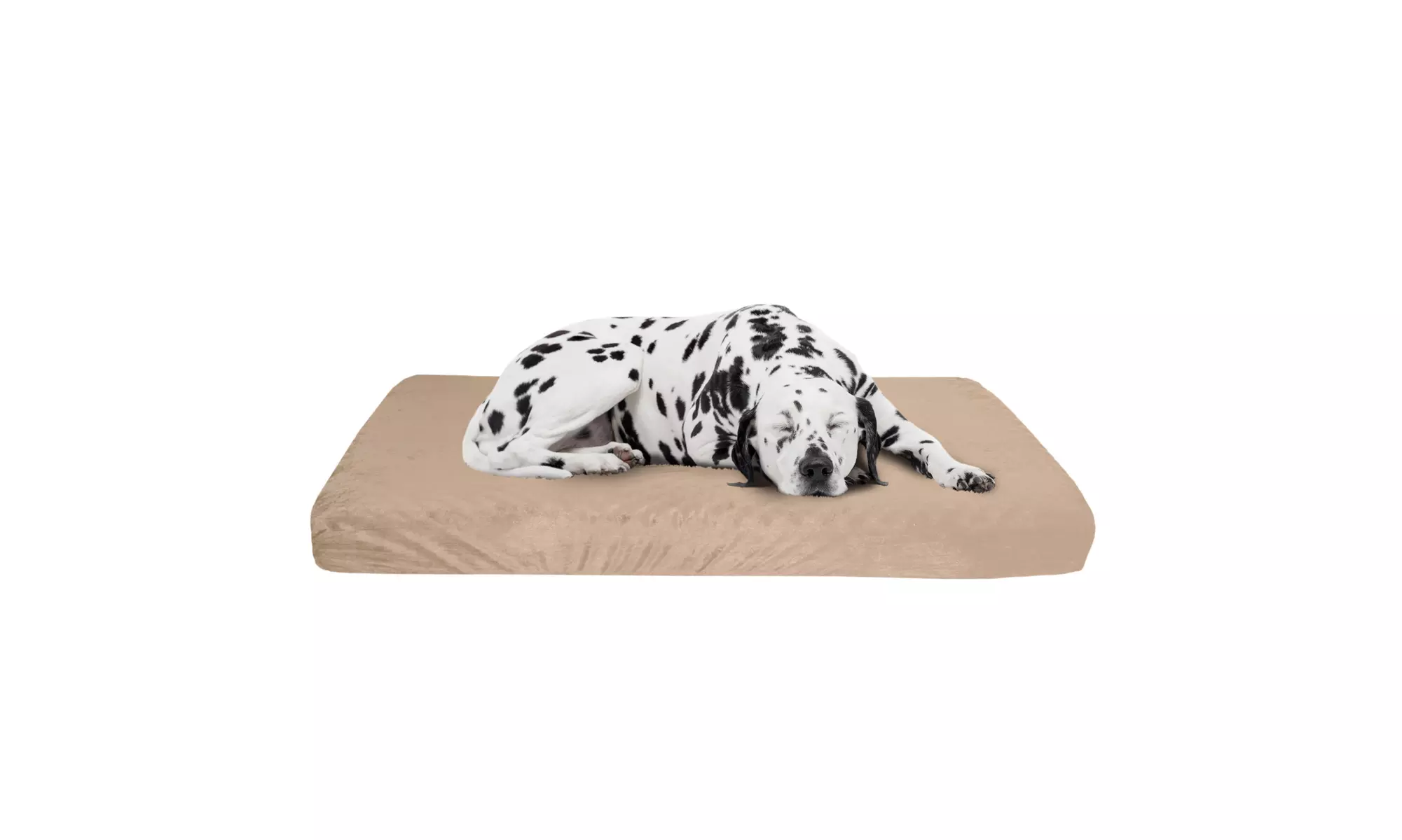 Large or XL Orthopedic Memory Foam Dog Bed With Removable Cover