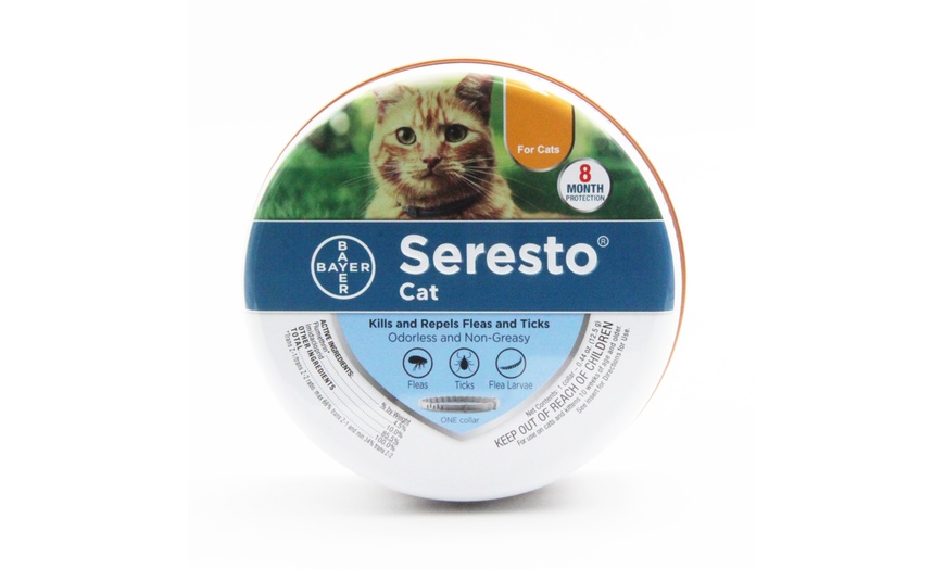 seresto kitten