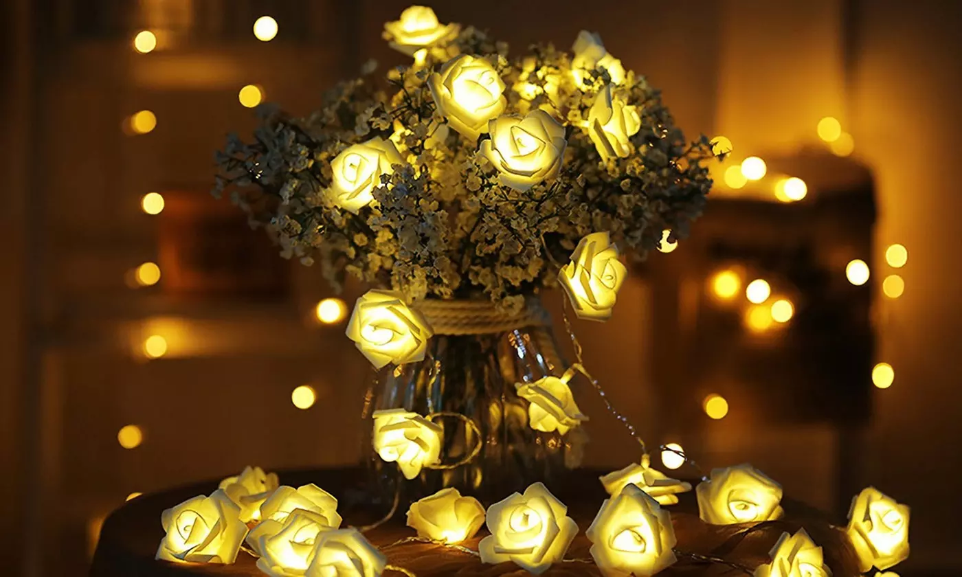  iMounTEK 40-LED Rose String Lights Romantic Valentines Day Decor (2-Pack)