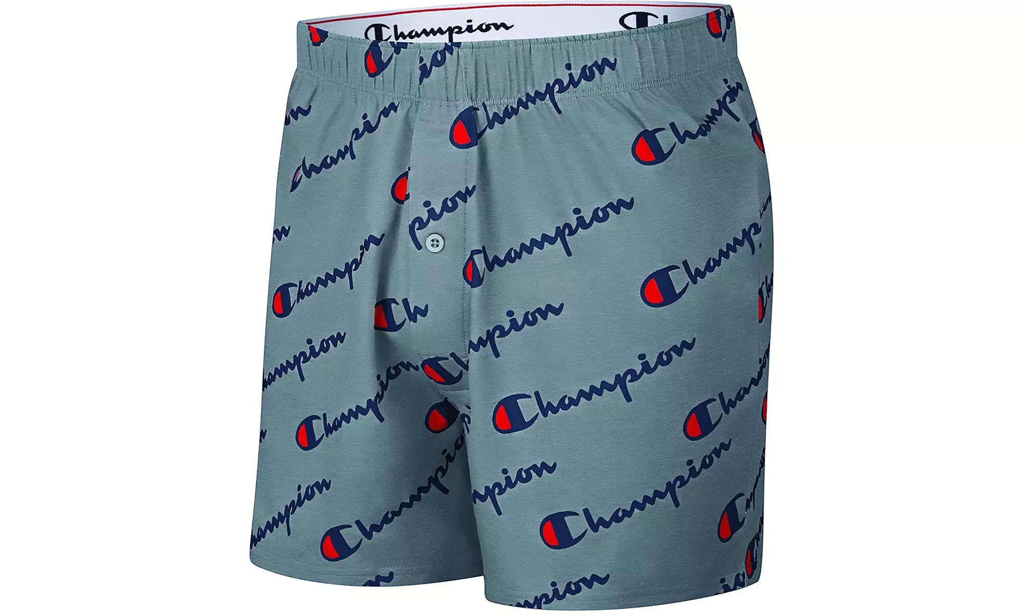 Champion Men's Boxer Short Knit or Woven Underwear