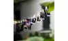 Photo Clip String Lights with 40 LED & Remote Control - Battery Powered 