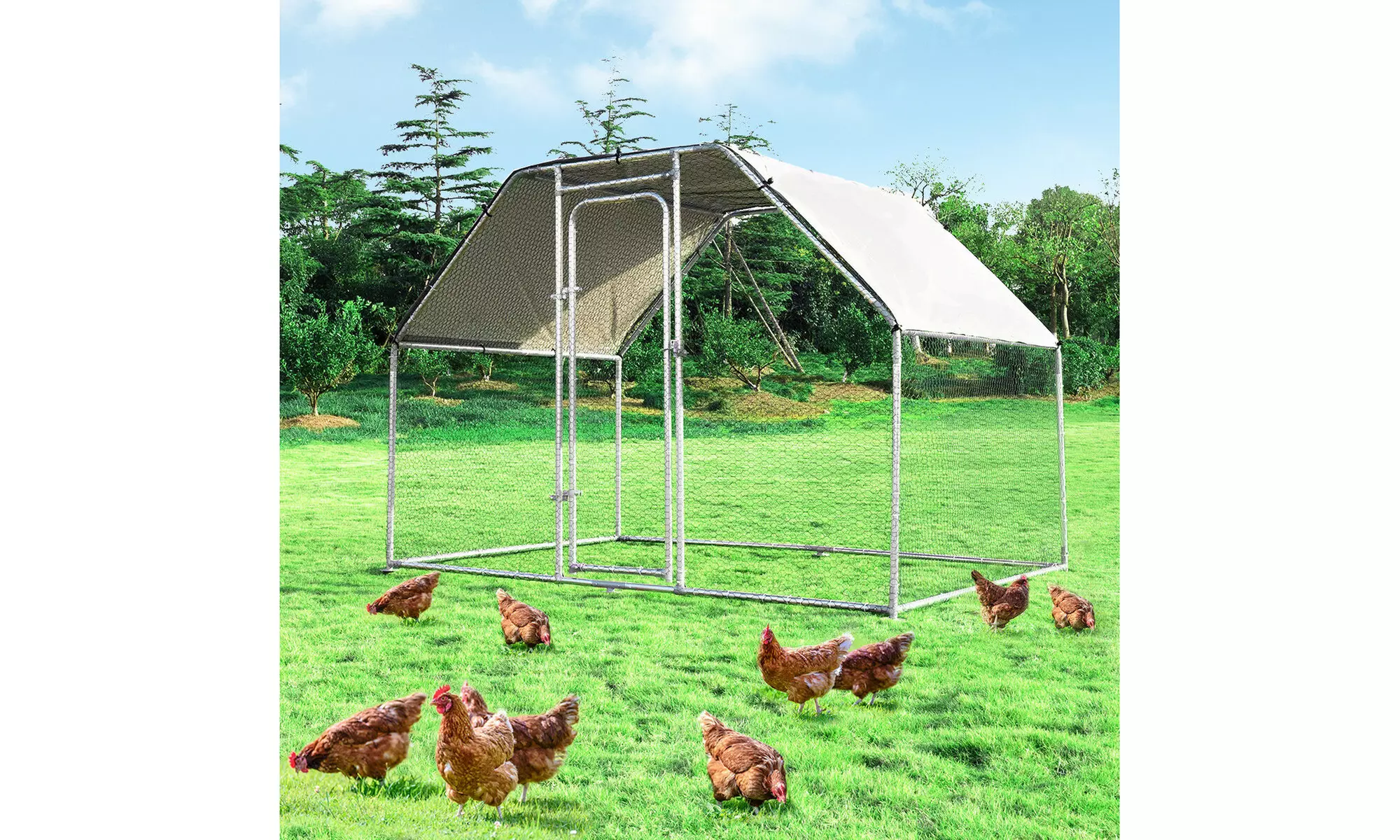 Large Walk In Chicken Coop Run House Shade Cage 9.5' x 6.5' with Roof Cover - Primary Image