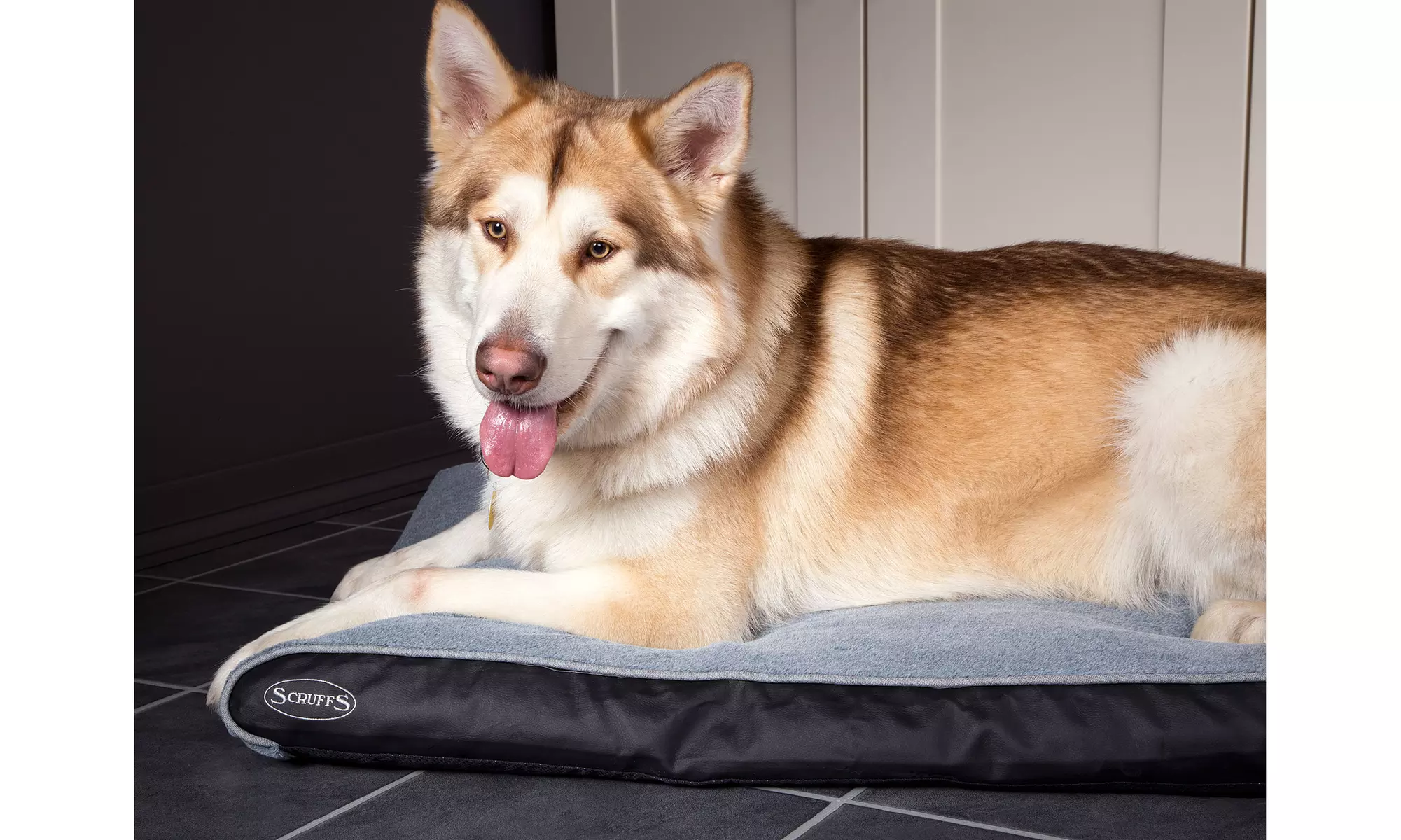 Scruffs Chateau Memory Foam Dog Mattress - Primary Image