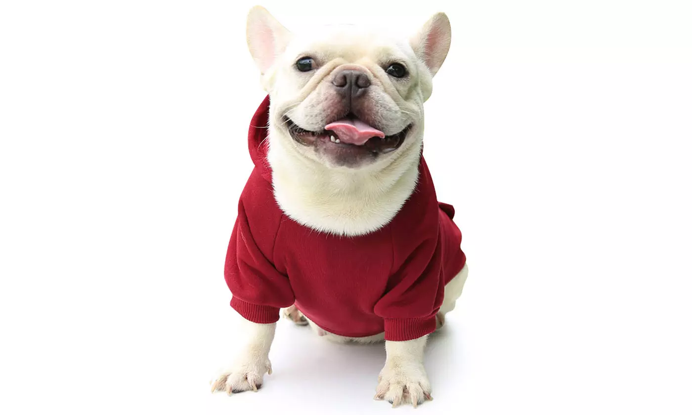 Winter Dog Hoodie Sweatshirts with Pockets Warm Dog Clothes for Small Dogs