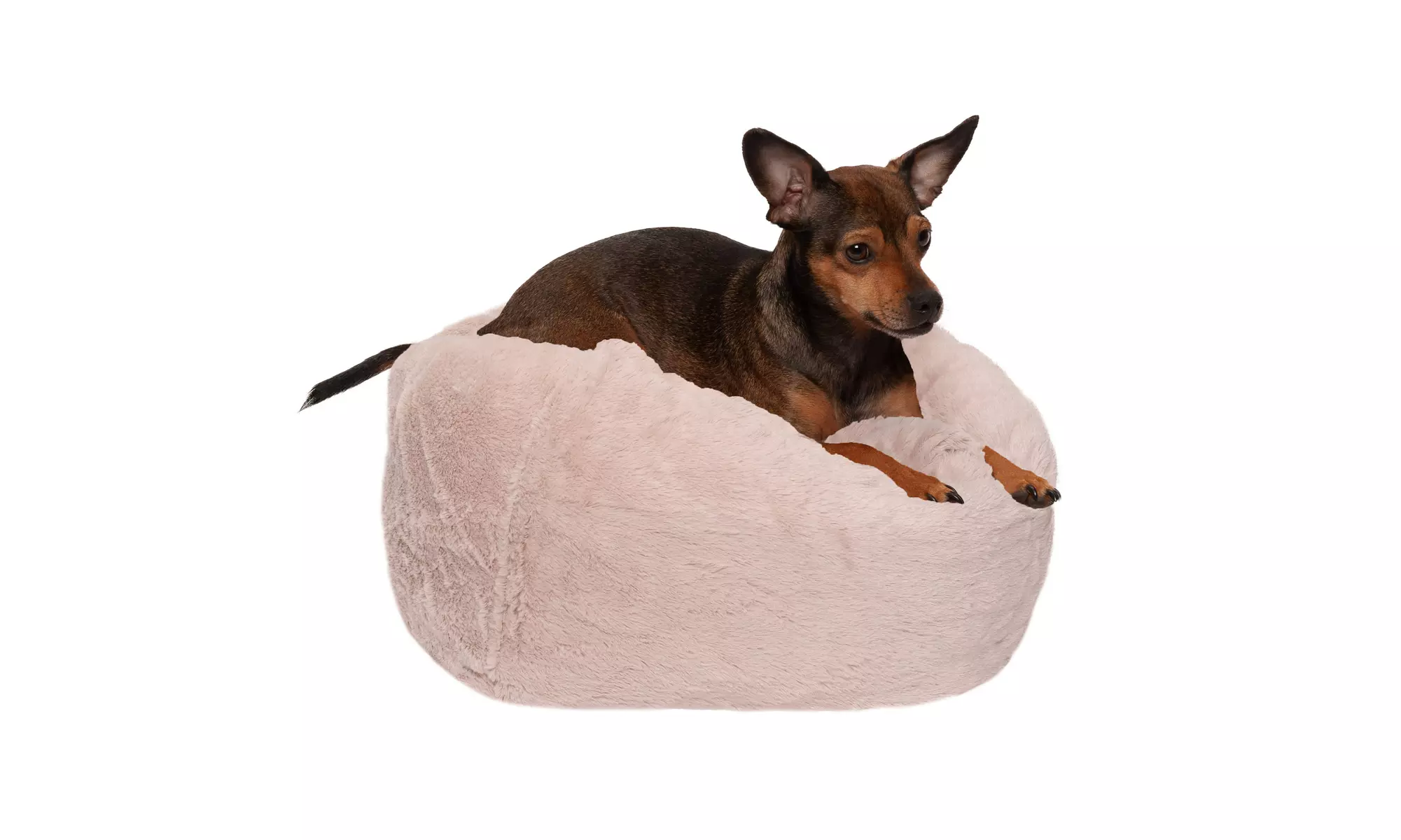 Furhaven Round Insulating Ball Pet Bed