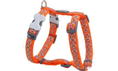 Red Dingo DH-SE-OR-ME Dog Harness Design Snake Eyes Orange, Medium