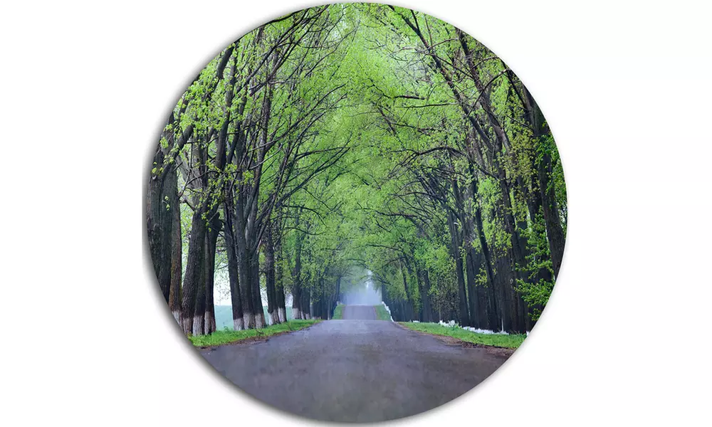 Arched Trees Over Country Road' Landscape Photography Circle Metal Wall Art - Second Medium