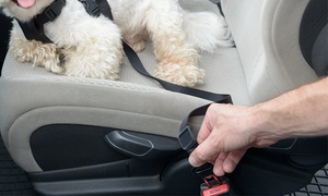 2 Pack Pet Seat Belt