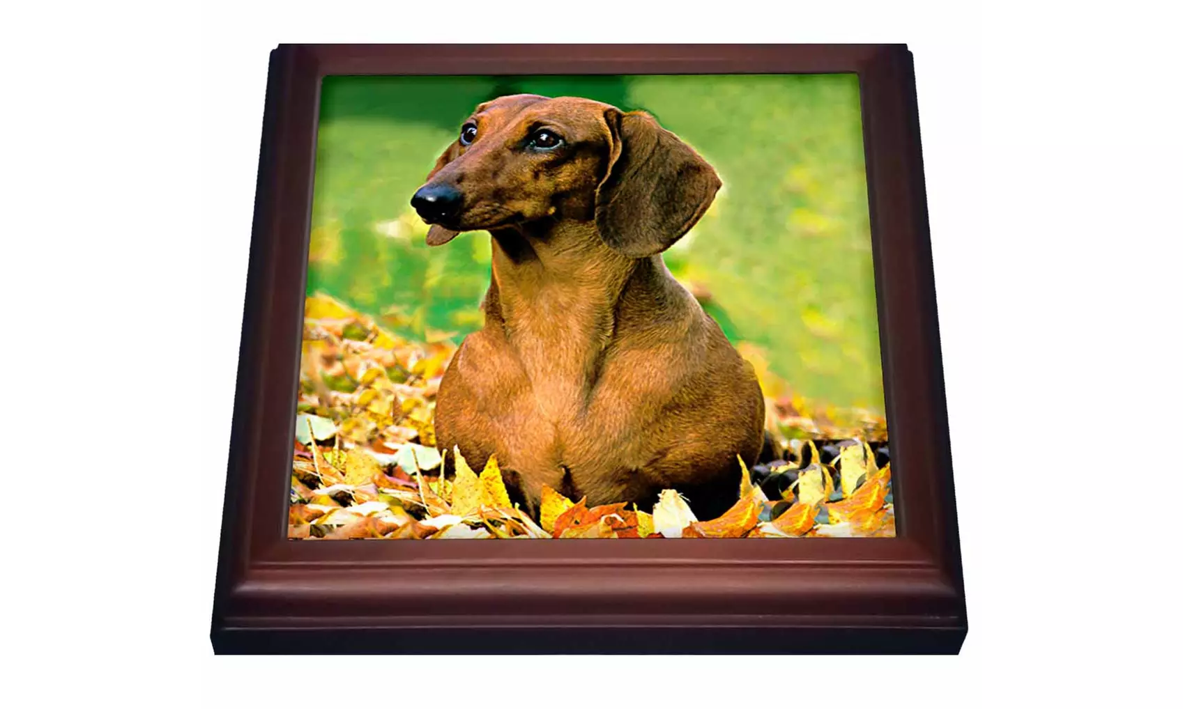 Trivet with TileSmooth Dachshund - Primary Image