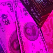 Photo submitted by Krystle