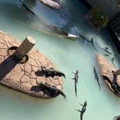 Photo submitted by Jocelyn