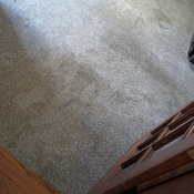 Photo submitted by Becky