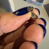 Photo submitted by Holly