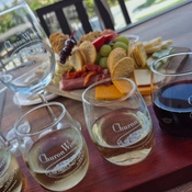 Photo submitted by Joci