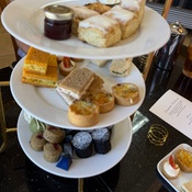 Photo submitted by Ally