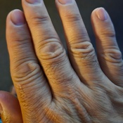 Photo submitted by Noel