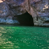 Photo submitted by Shea