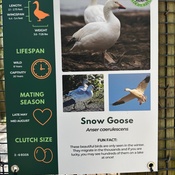 Photo submitted by Oanh