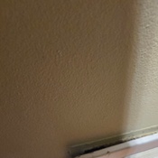 Photo submitted by Raveen