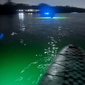 Photo submitted by Kiera