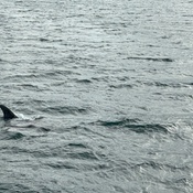 Photo submitted by Andres